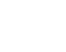 SRT Automotive